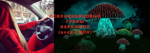 герыч Алексин